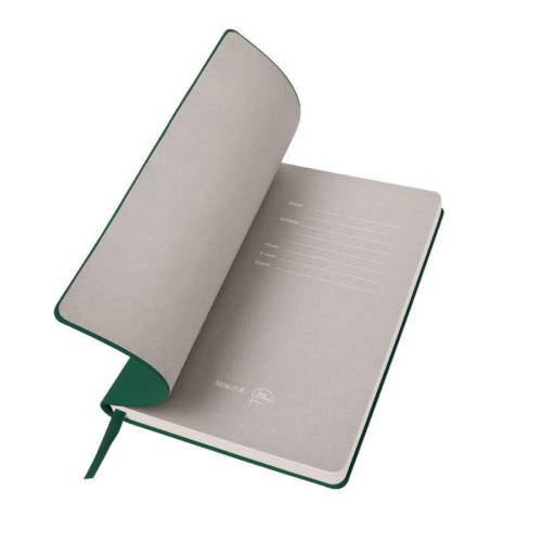 Бизнес-блокнот BIGGY, формат B5, в клетку