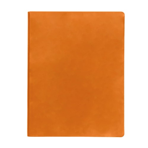 Бизнес-блокнот BIGGY, формат B5, в клетку