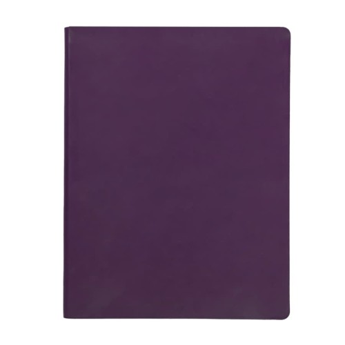 Бизнес-блокнот BIGGY, формат B5, в клетку