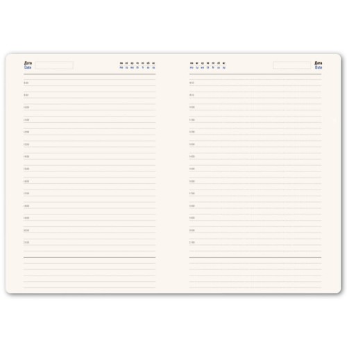 Ежедневник недатированный Linnie, формат А5, в линейку