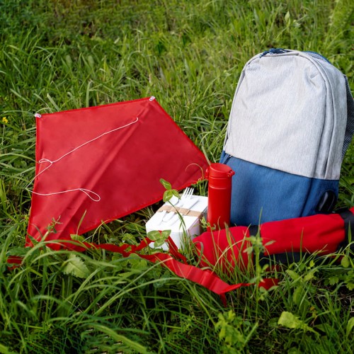 Воздушный змей 