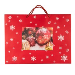 Пакет малый  RED WONDER 32*27*11 см, красный