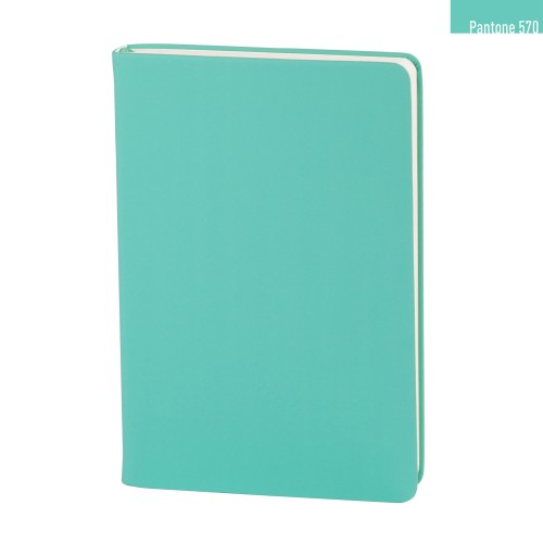 Ежедневник недатированный 