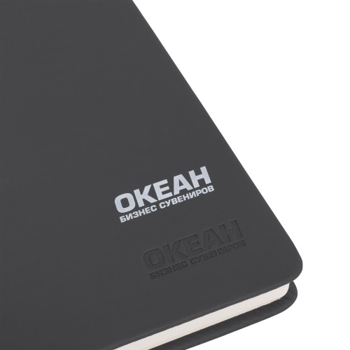 Ежедневник недатированный 