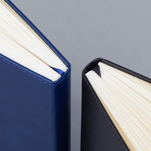 Ежедневник недатированный 