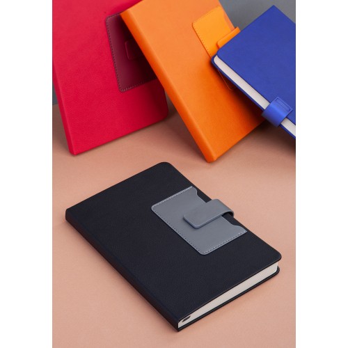 Ежедневник недатированный 