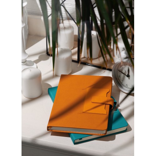 Ежедневник недатированный 