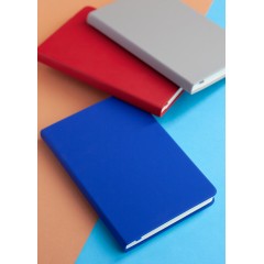 Ежедневник недатированный 