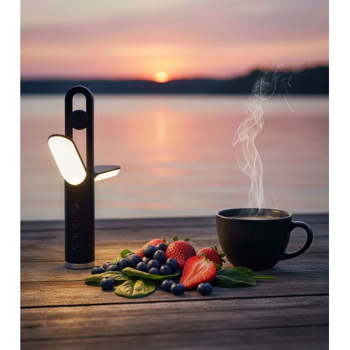 Фонарь-лампа 