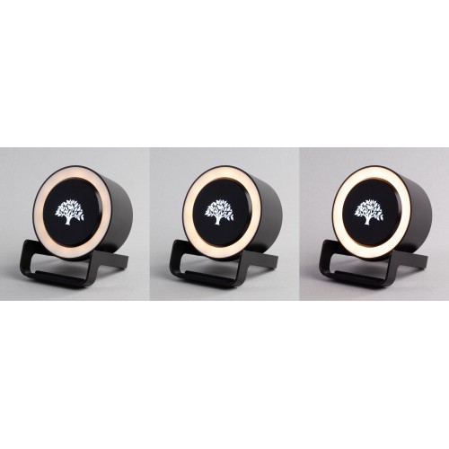 Bluetooth колонка-подставка 