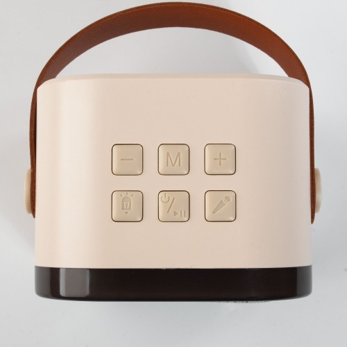 Караоке станция 