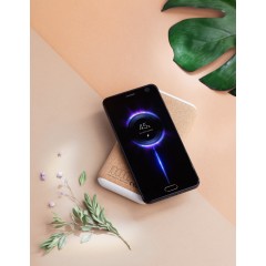 Беспроводное зарядное устройство 