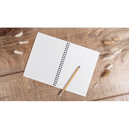 Вечный карандаш 