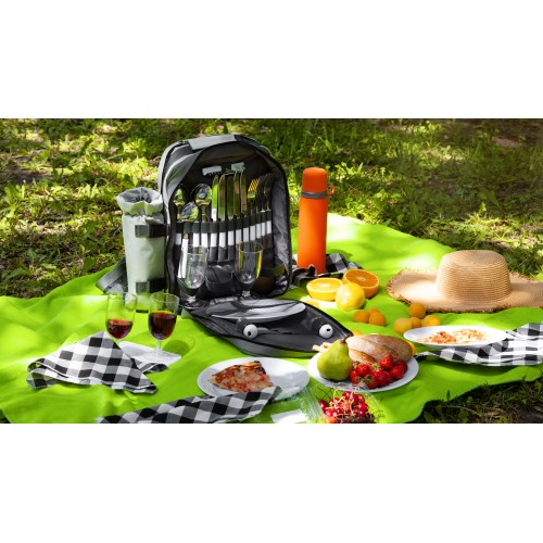 Набор для пикника 