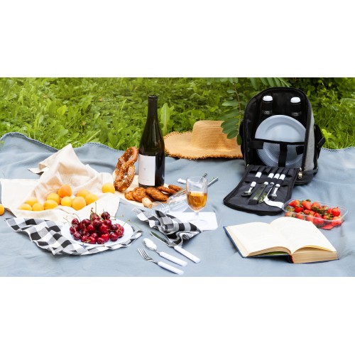 Набор для пикника 