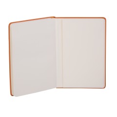 Ежедневник недатированный 