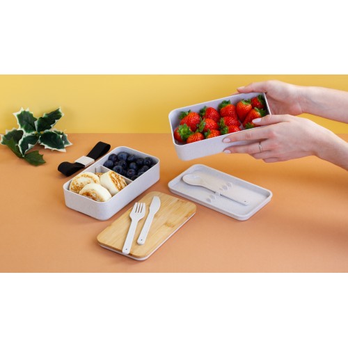 Контейнер для ланча 