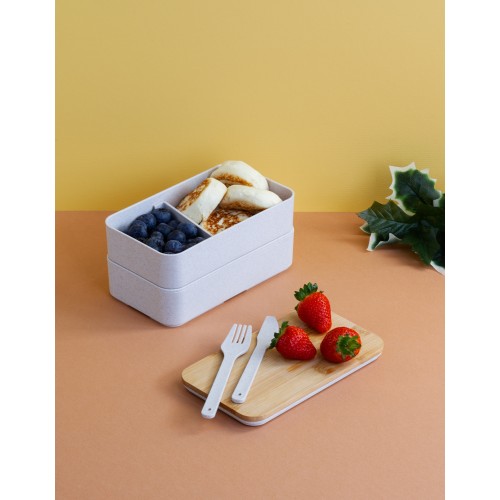 Контейнер для ланча 