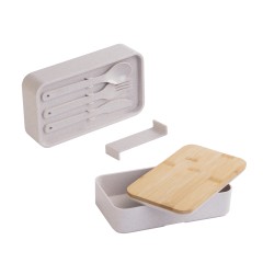 Контейнер для ланча 