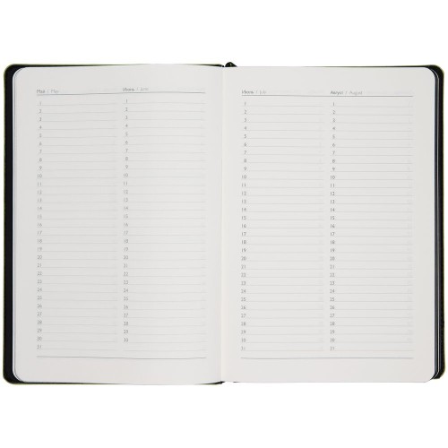 Ежедневник Alanis, недатированный, черный с зеленым