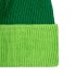 Шапка Snappy, зеленая с салатовым