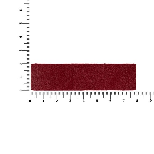 Лейбл кожаный Pasek, красный