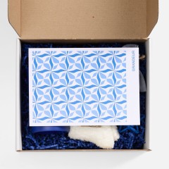 Набор Sockshire, синий