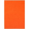 Ежедневник Flat Light, недатированный, оранжевый Ежедневник Flat Light, недатированный, оранжевый