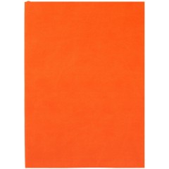 Ежедневник Flat Light, недатированный, оранжевый