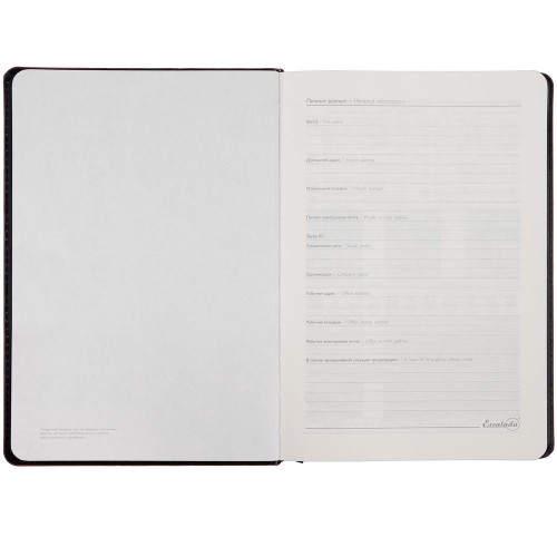 Ежедневник Alanis, недатированный, черный с фиолетовым