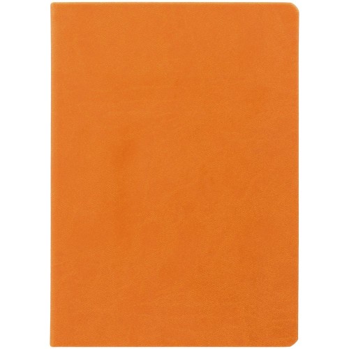 Ежедневник Basis, датированный, оранжевый