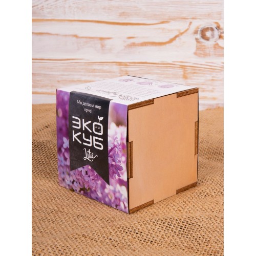 Набор для выращивания «Экокуб Lite», сирень