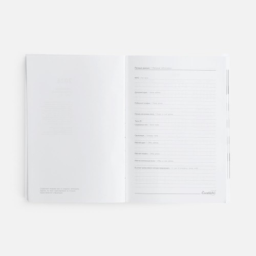 Ежедневник Baza, датированный, зеленый