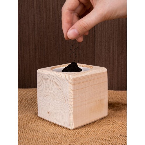 Набор для выращивания «Экокуб», ель голубая