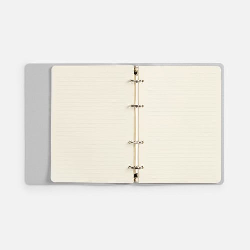 Ежедневник Ringo, недатированный, серебристый