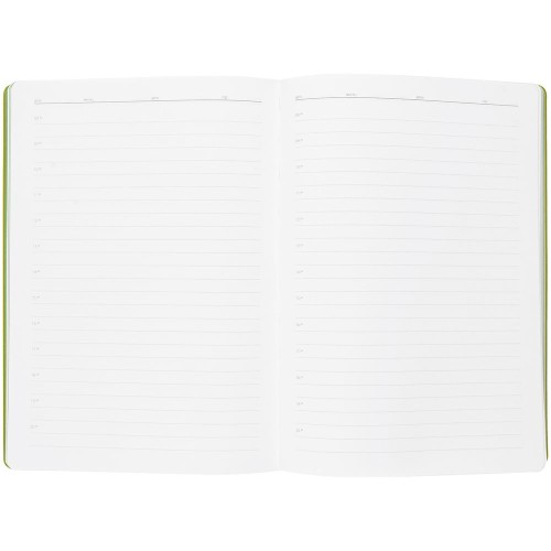 Ежедневник Flexpen, недатированный, серебристо-зеленый