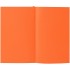 Ежедневник Flat Mini, недатированный, оранжевый