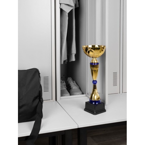 Кубок Awardee, большой, синий