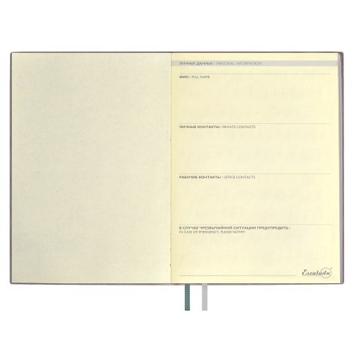 Ежедневник Avila, недатированный, серый