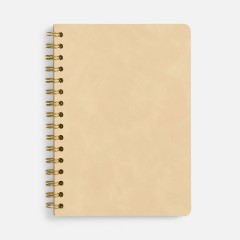 Набор Spiral Gold, бежевый