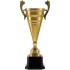 Кубок Recordsman, золотистый