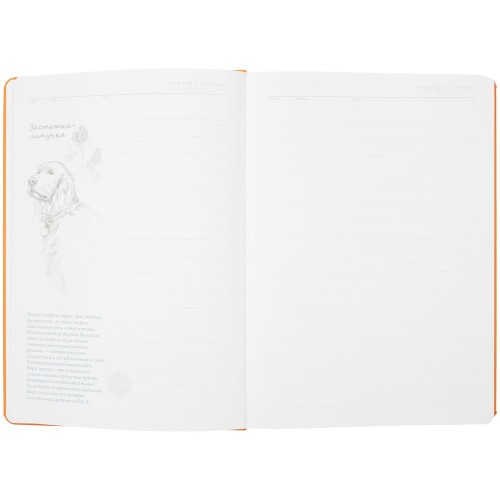 Ежедневник «История изобретений», недатированный, оранжевый