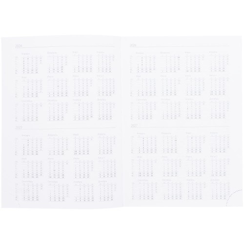 Ежедневник Vivian Metal, недатированный, зеленый