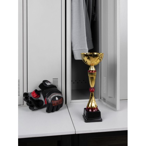 Кубок Awardee, средний, красный