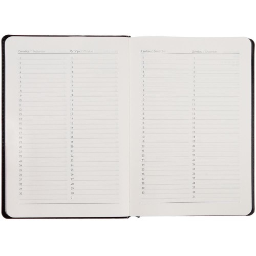 Ежедневник Alanis, недатированный, черный с синим