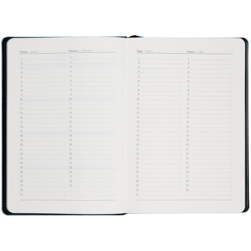 Ежедневник Alanis, недатированный, черный с голубым