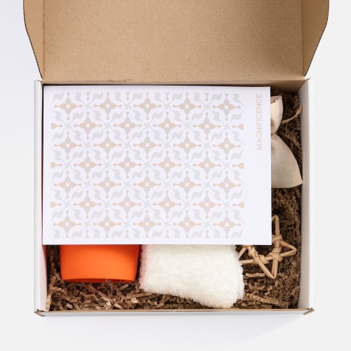 Набор Sockshire, оранжевый