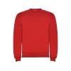 Свитшот с начесом Clasica детский, красный Свитшот с начесом Clasica детский, красный