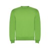 Свитшот с начесом Clasica детский, зеленое яблоко Свитшот с начесом Clasica детский, зеленое яблоко