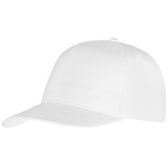 Бейсболка Poly